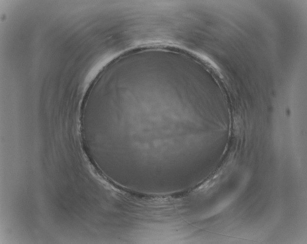 X0000076311279200610161609