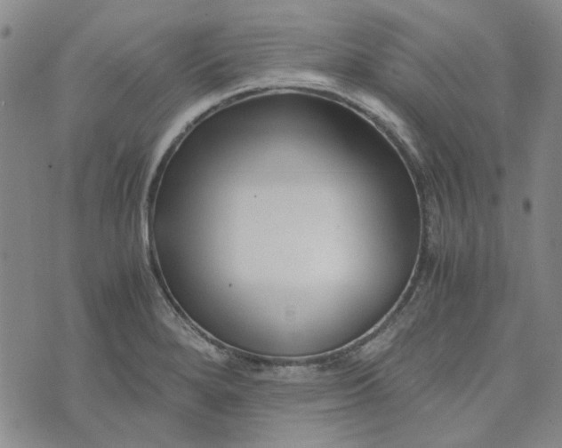 X0000076311280200610161609