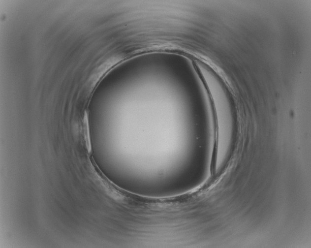 X0000076311281200610161609