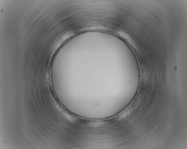 X0000076311282200610161609