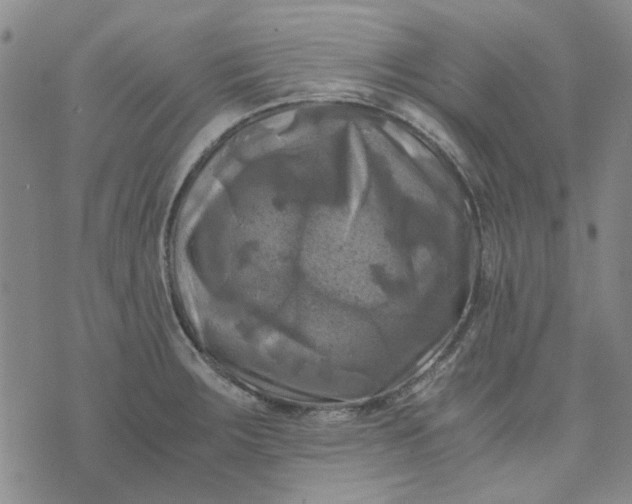 X0000076311283200610161609