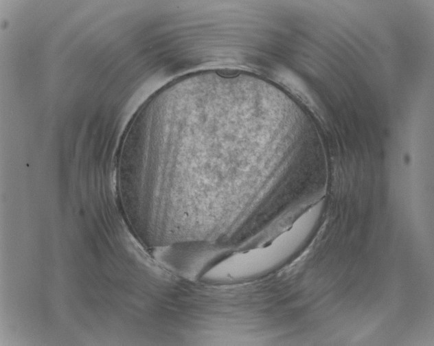 X0000076311284200610161609