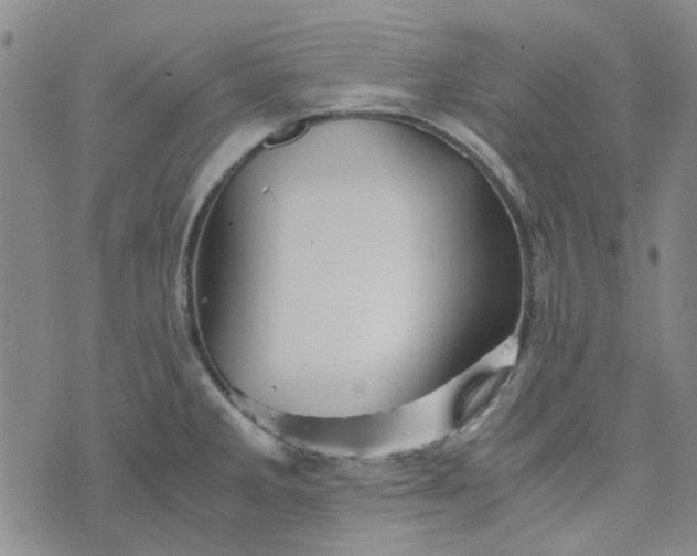 X0000076311285200610161609