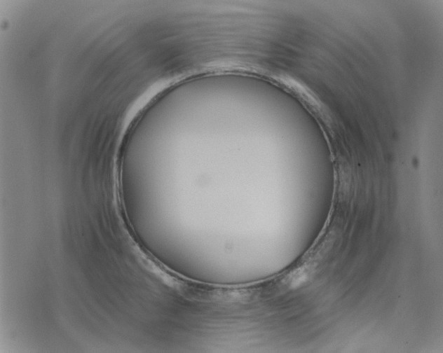 X0000076311286200610161609