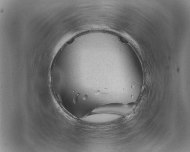 X0000076311287200610161609