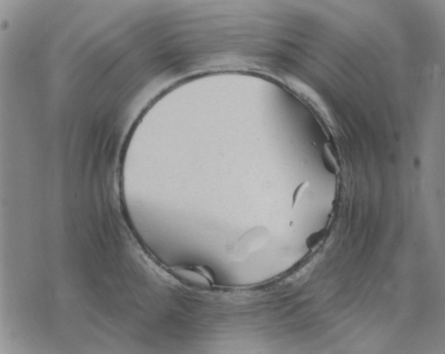 X0000076311288200610161609