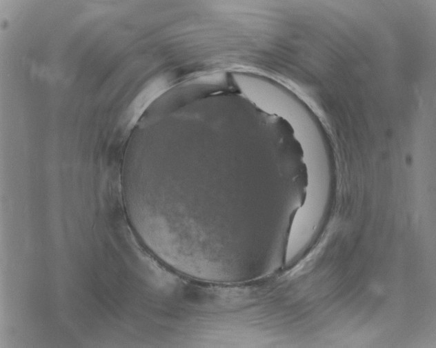 X0000076311289200610161609