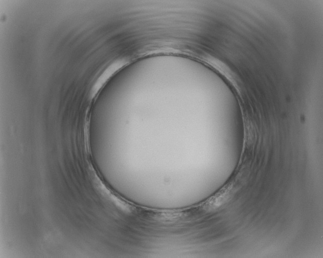 X0000076311290200610161609