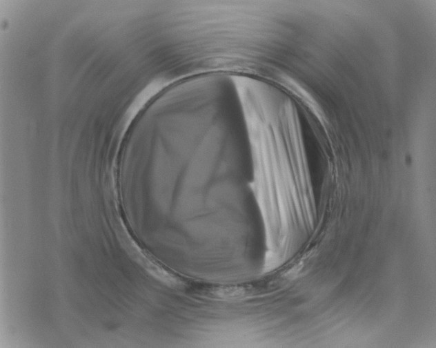 X0000076311291200610161609