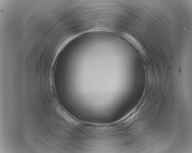 X0000076311292200610161609