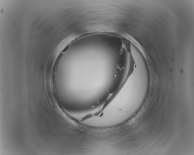 X0000076311293200610161609