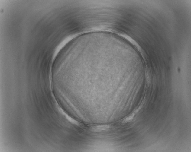 X0000076311294200610161609