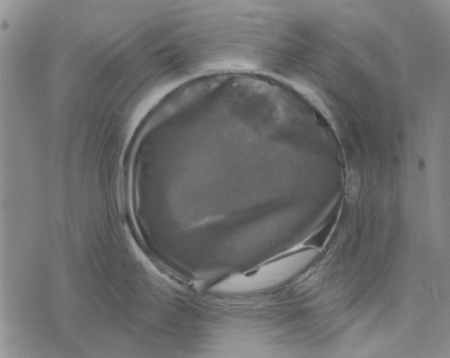 X0000076311295200610161609