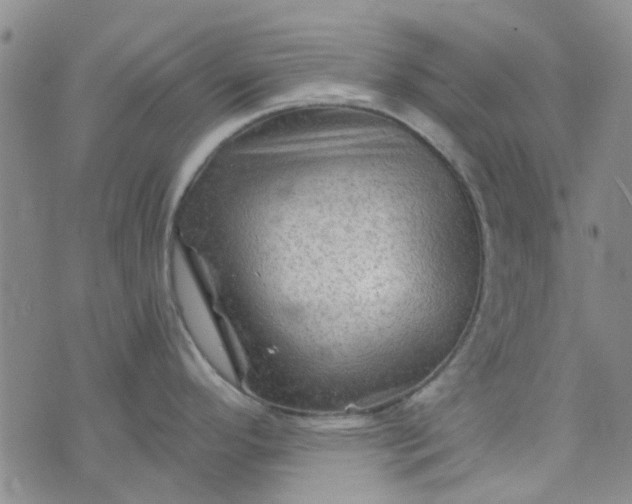 X0000076311296200610161609