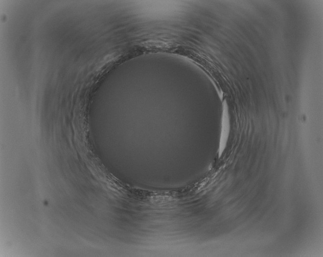 X0000076311297200610161608