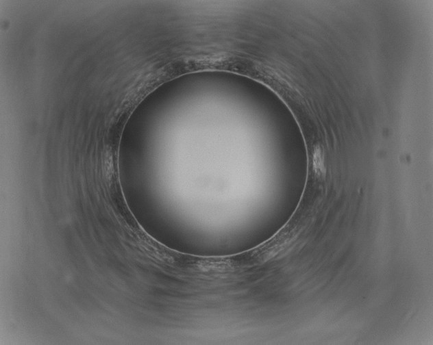 X0000076311299200610161608