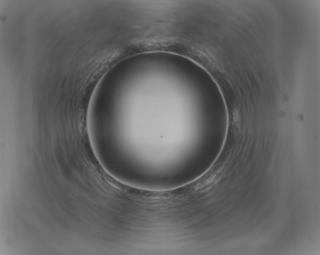 X0000076311300200610161608