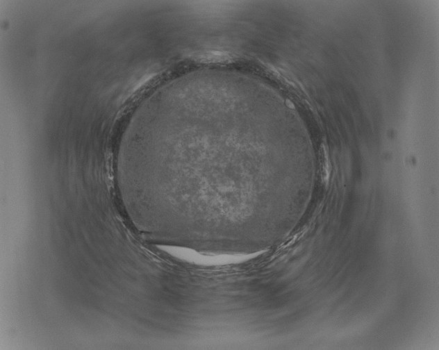 X0000076311301200610161608