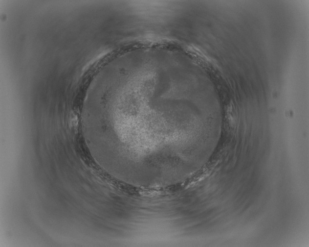 X0000076311302200610161608