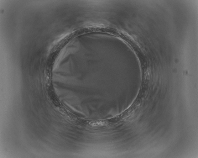 X0000076311303200610161608