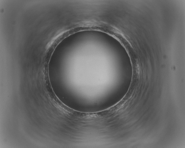 X0000076311304200610161608