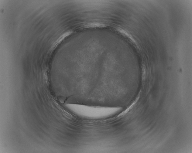 X0000076311305200610161608