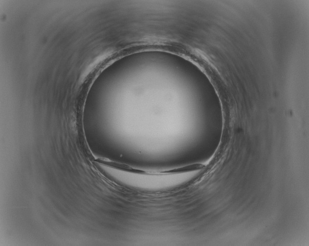 X0000076311307200610161608