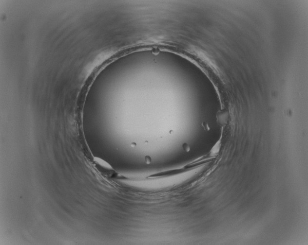 X0000076311308200610161608