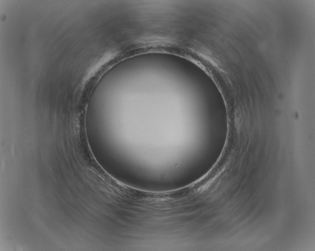 X0000076311309200610161608