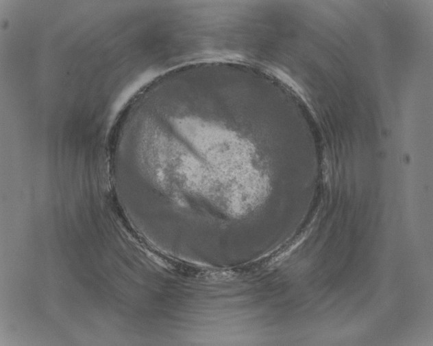 X0000076311310200610161608