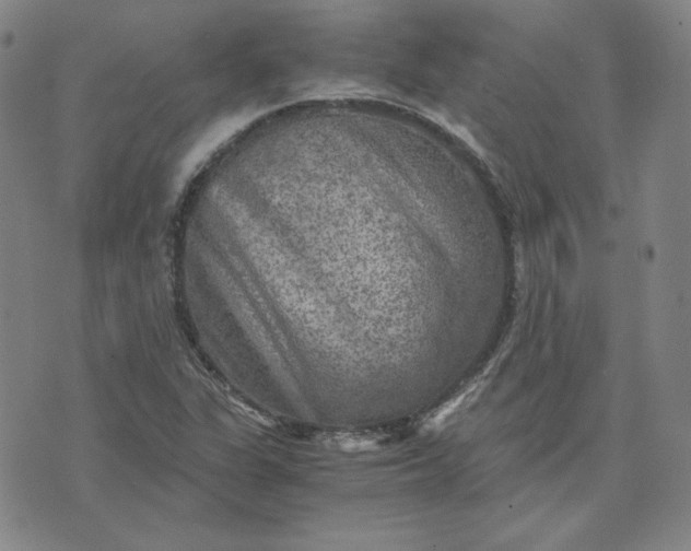 X0000076311311200610161608