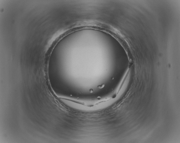 X0000076311312200610161609