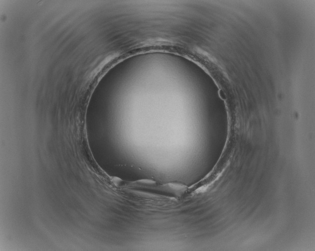 X0000076311313200610161609