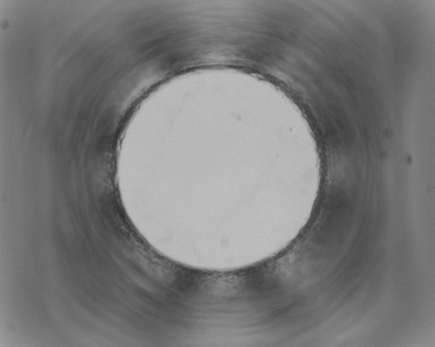 X0000076311314200610161609