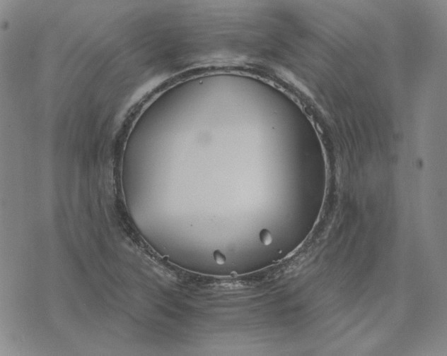 X0000076311315200610161609