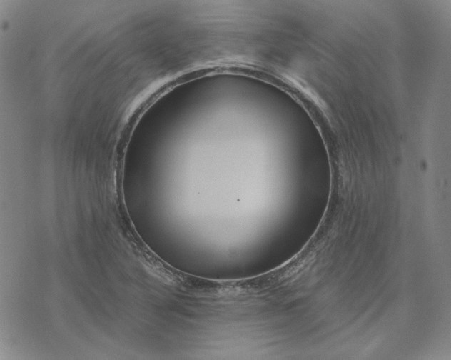 X0000076311316200610161609