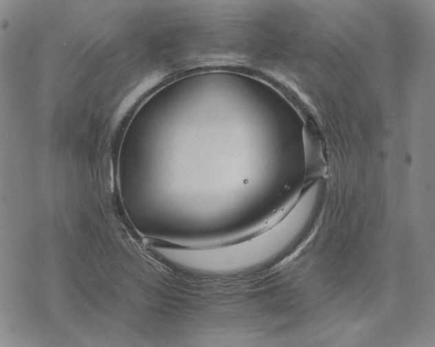 X0000076311317200610161609