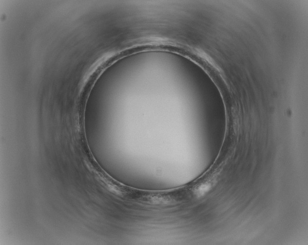 X0000076311318200610161609