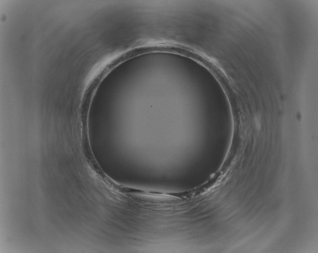 X0000076311319200610161609