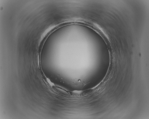 X0000076311320200610161609