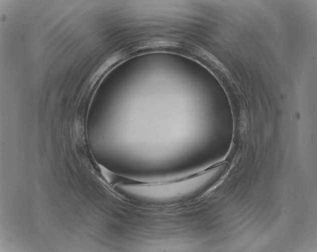 X0000076311321200610161609