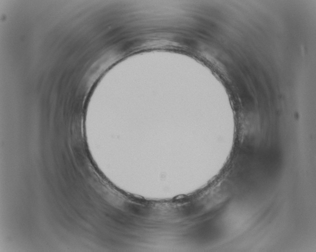 X0000076311322200610161609