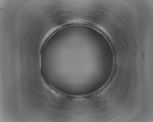 X0000076311323200610161609