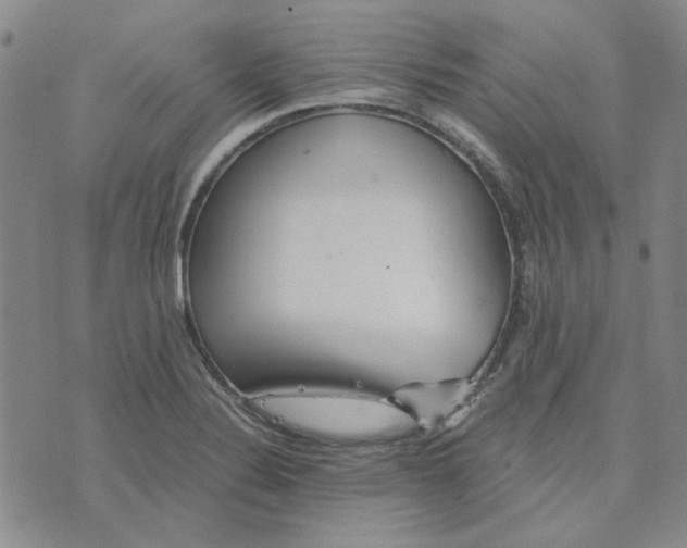 X0000076311324200610161609