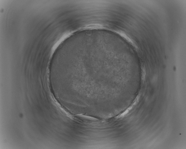 X0000076311325200610161609