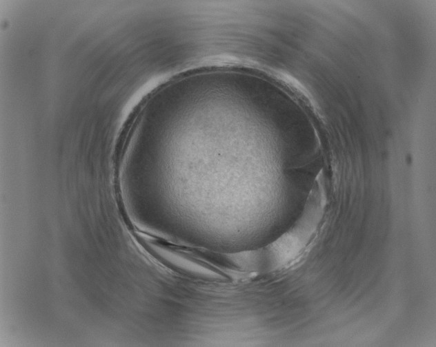 X0000076311326200610161609