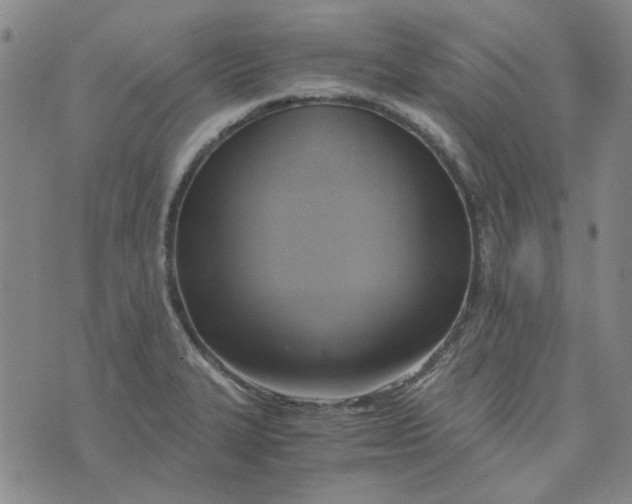 X0000076311327200610161609