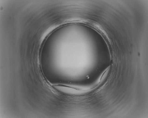 X0000076311328200610161609