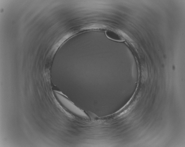 X0000076311329200610161609