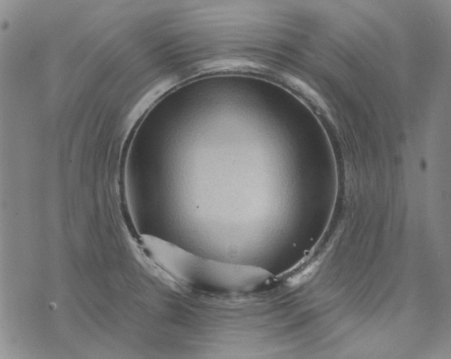 X0000076311330200610161609